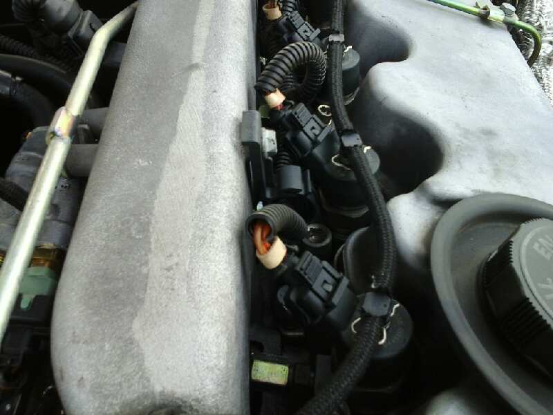 ALETA DELANTERA IZQUIERDA