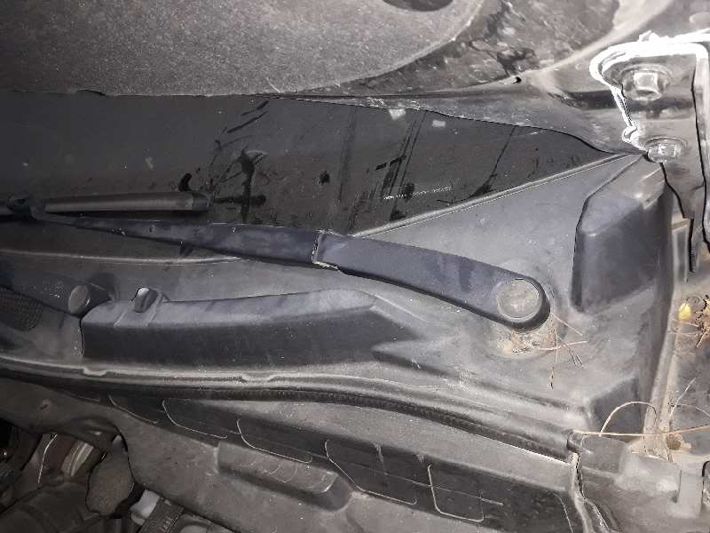 MOTOR LIMPIA DELANTERO