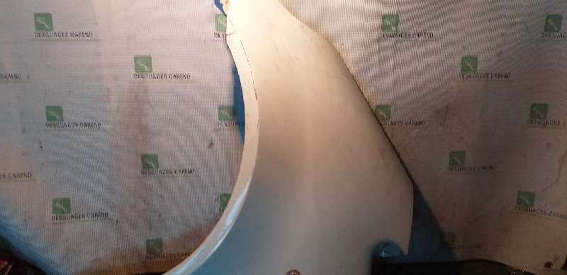 ALETA DELANTERA IZQUIERDA