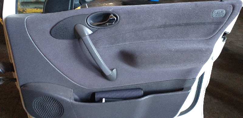 GUARNECIDO PUERTA DELANTERA DERECHA