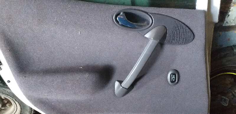 GUARNECIDO PUERTA TRASERA IZQUIERDA