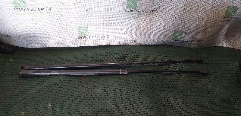 AMORTIGUADORES MALETERO / PORTON