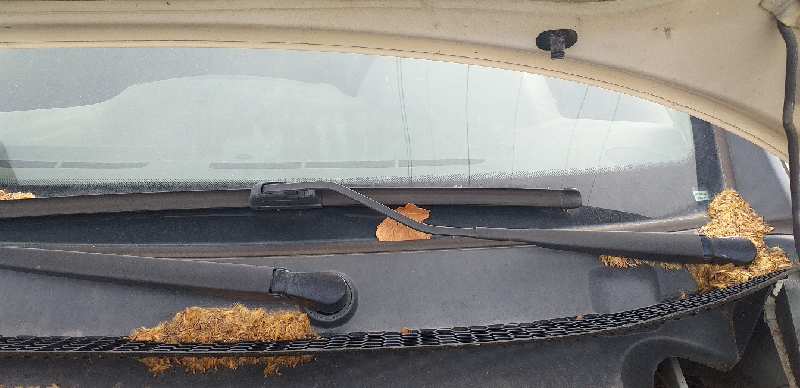 MOTOR LIMPIA DELANTERO