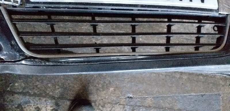 REJILLA PARAGOLPES CENTRAL