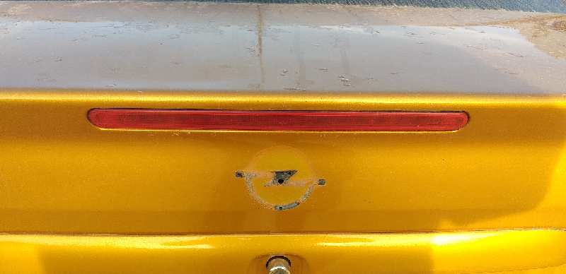 LUZ CENTRAL DE FRENO