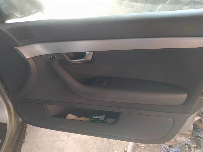 GUARNECIDO PUERTA DELANTERA DERECHA