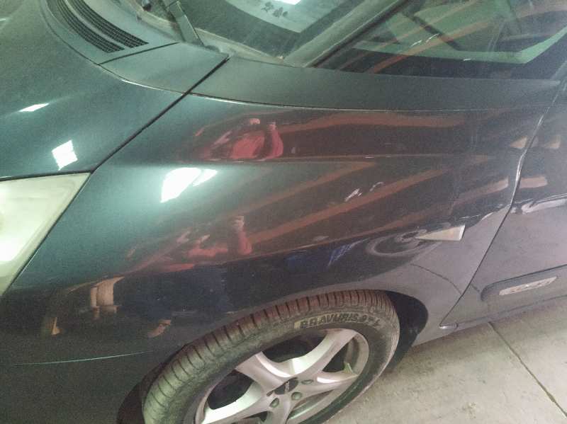 ALETA DELANTERA IZQUIERDA