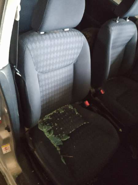ASIENTO DELANTERO DERECHO