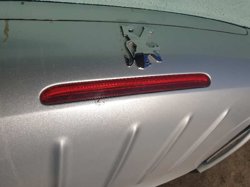 LUZ CENTRAL DE FRENO