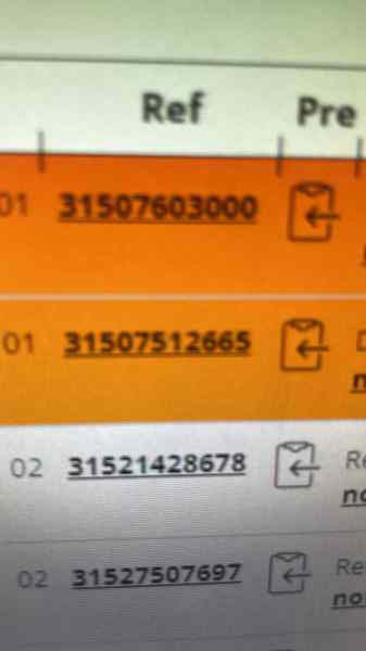 31507603000 DIFERENCIAL DELANTERO BMW X5 (E53)