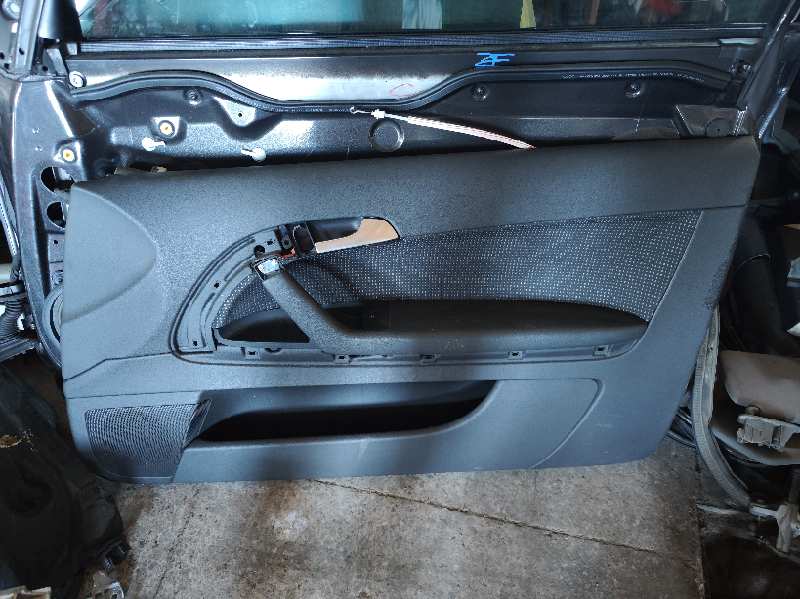 GUARNECIDO PUERTA DELANTERA DERECHA