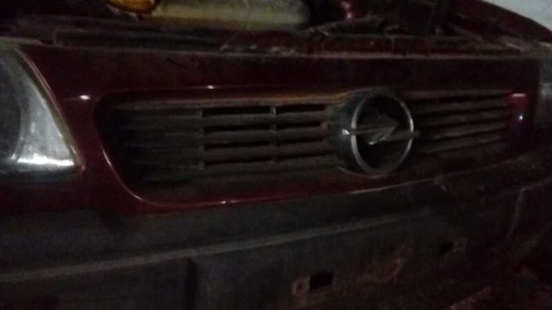 CALANDRA DELANTERA DE RADIADOR