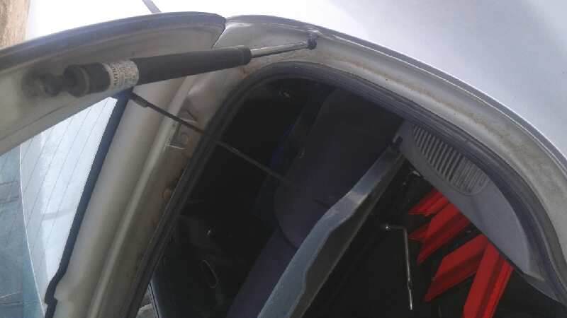 AMORTIGUADORES MALETERO - PORTON