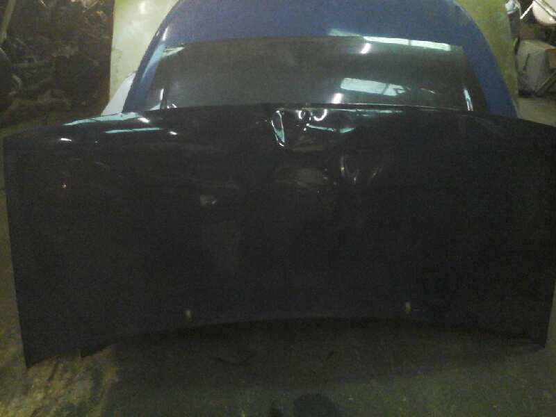 CAPOT FIAT SCUDO (222)