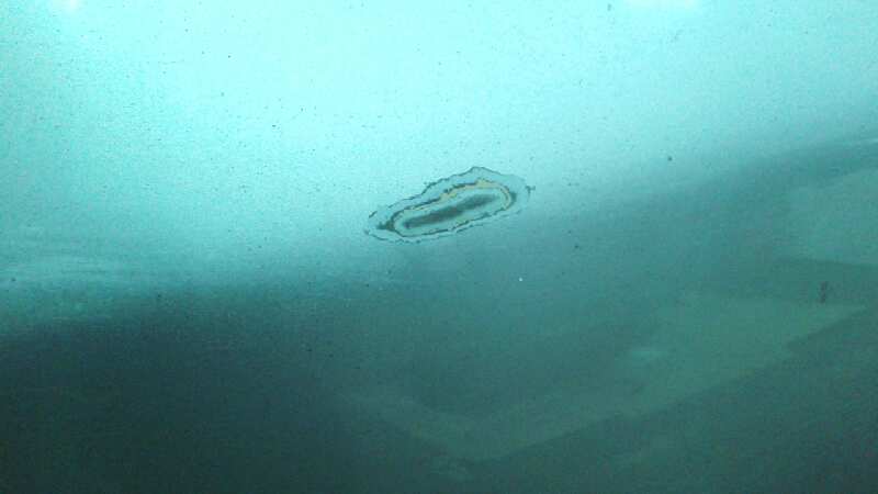 PUERTA TRASERA IZQUIERDA SKODA SUPERB COMBI (3T5)