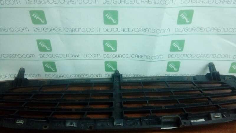 CALANDRA DELANTERA DE RADIADOR