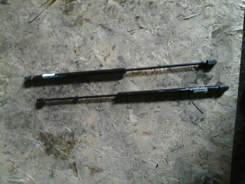 AMORTIGUADORES MALETERO - PORTON