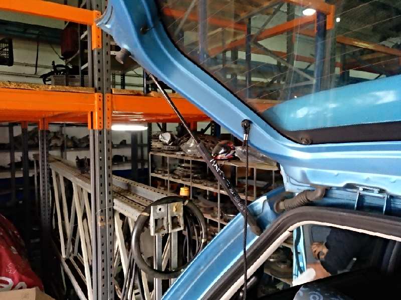 AMORTIGUADORES MALETERO - PORTON