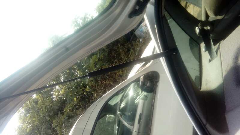 AMORTIGUADORES MALETERO - PORTON