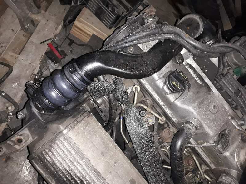 IZQUIERDO TUBO FORD FOCUS TURNIER (CAK)