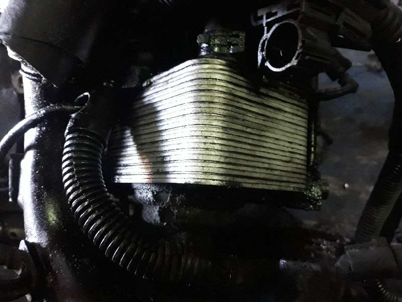 ENFRIADOR ACEITE MOTOR