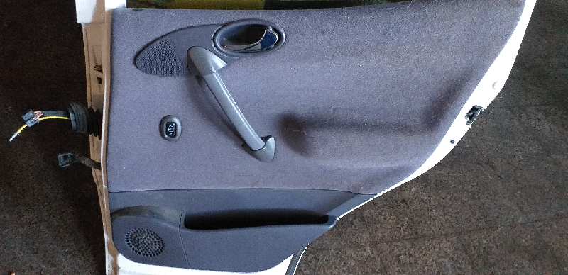 GUARNECIDO PUERTA TRASERA DERECHA