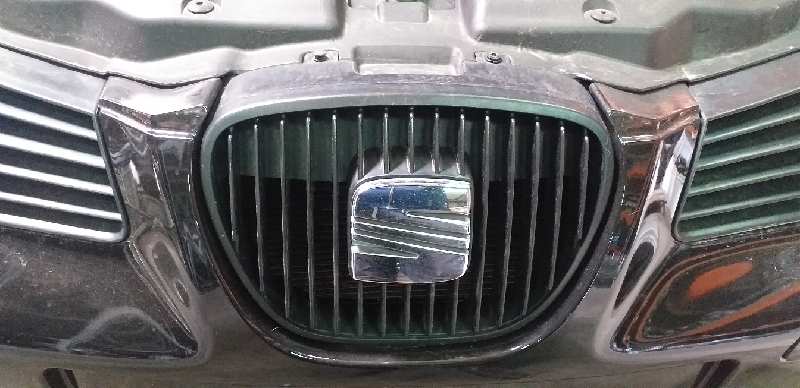 REJILLA PARAGOLPES CENTRAL