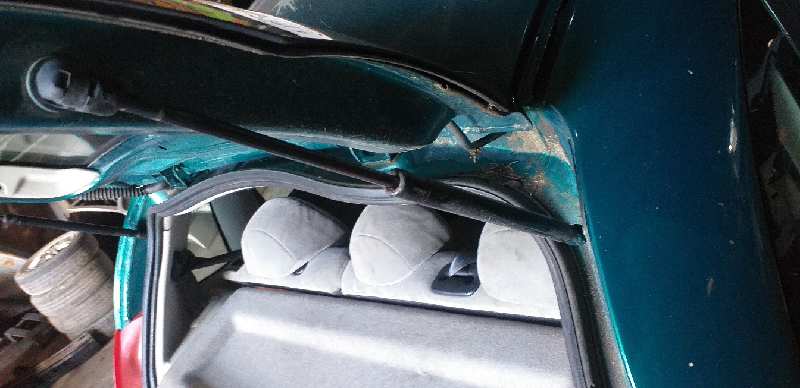 AMORTIGUADORES MALETERO / PORTON