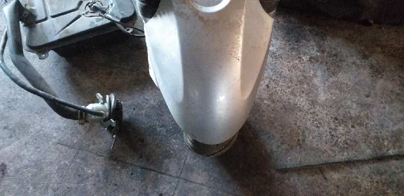 PARAGOLPES DELANTERO