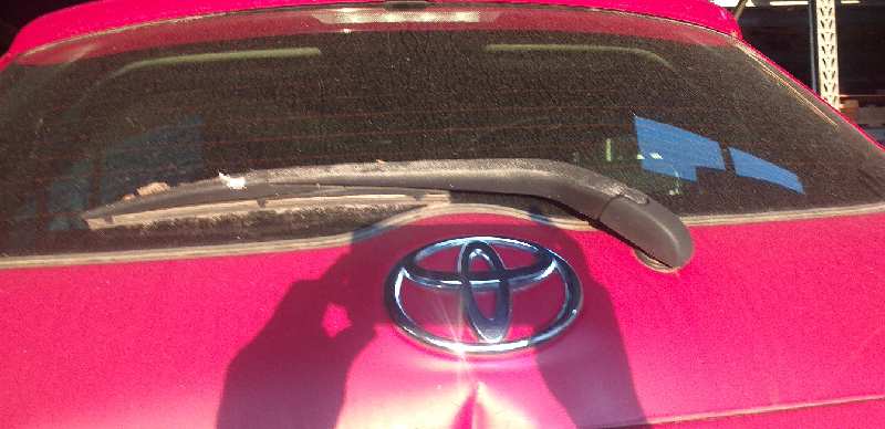 BRAZO LIMPIA TRASERO