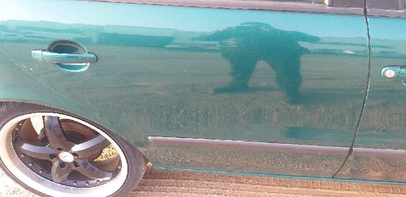 PUERTA TRASERA DERECHA