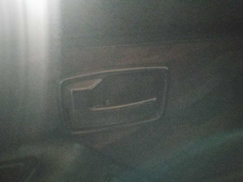 MANETA INTERIOR DELANTERA IZQUIERDA