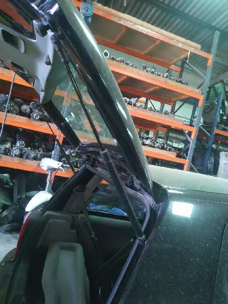 AMORTIGUADORES MALETERO / PORTON