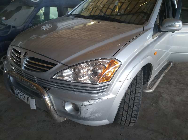 GUARNECIDO PUERTA TRASERA IZQUIERDA