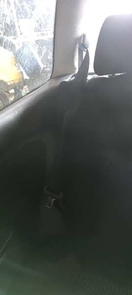 CINTURON SEGURIDAD TRASERO DERECHO