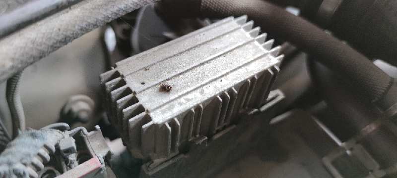 CAJA PRECALENTAMIENTO