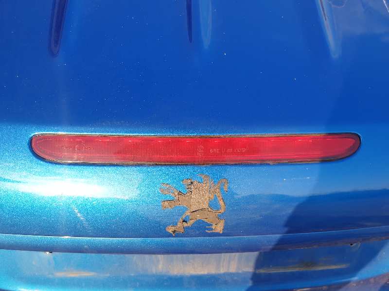 LUZ CENTRAL DE FRENO