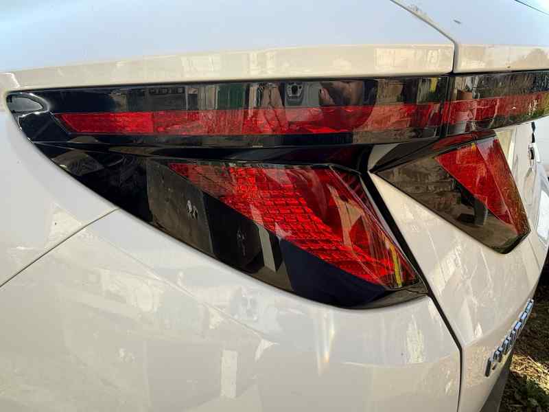 PILOTO TRASERO IZQUIERDO