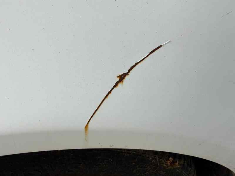 ALETA DELANTERA IZQUIERDA