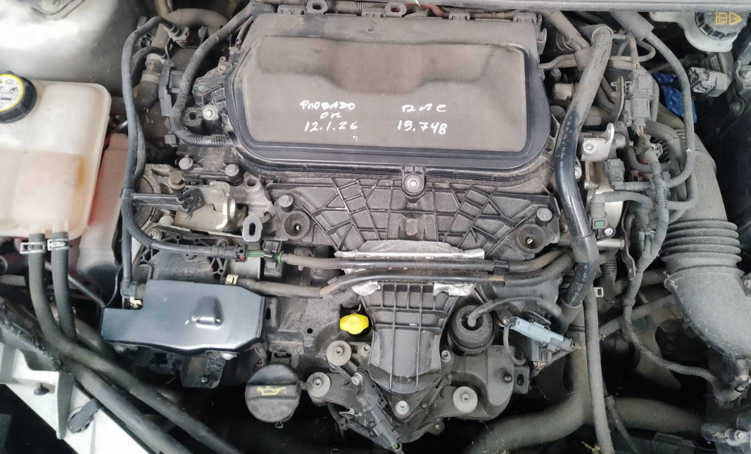 MOTOR COMPLETO FORD FOCUS LIM.